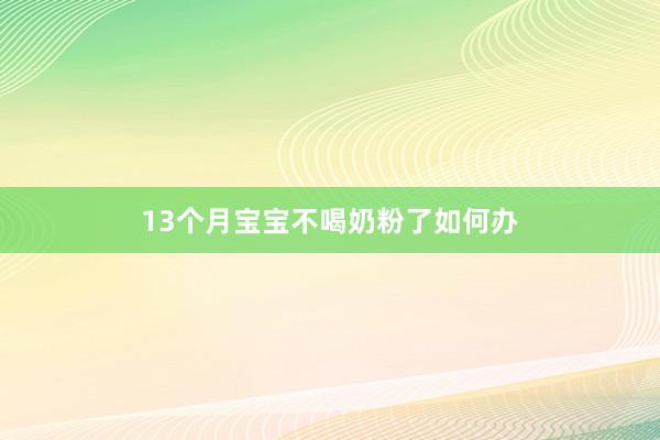 13个月宝宝不喝奶粉了如何办