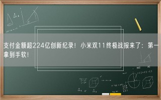 支付金额超224亿创新纪录！小米双11终极战报来了：第一拿到手软！