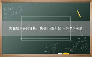 凯翼拾月开启预售：售价5.49万起 十分灵巧可爱！