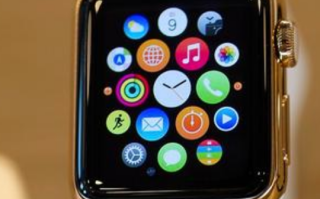 apple watch怎么返回上一页