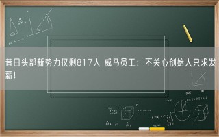 昔日头部新势力仅剩817人 威马员工：不关心创始人只求发薪！