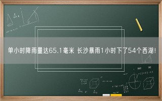 单小时降雨量达65.1毫米 长沙暴雨1小时下了54个西湖！