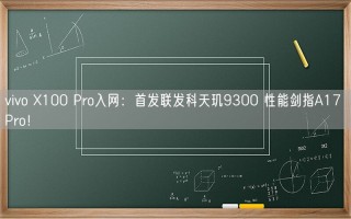 vivo X100 Pro入网：首发联发科天玑9300 性能剑指A17 Pro！