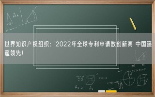 世界知识产权组织：2022年全球专利申请数创新高 中国遥遥领先！