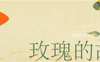 电视剧《玫瑰的故事》热播：剧中彭冠英下线林更新上线！