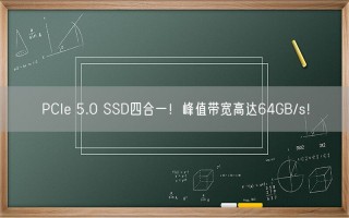 PCIe 5.0 SSD四合一！峰值带宽高达64GB/s！