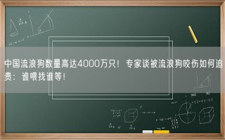 中国流浪狗数量高达4000万只！专家谈被流浪狗咬伤如何追责：谁喂找谁等！