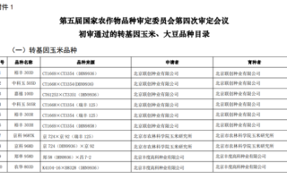 我国转基因玉米、大豆种子公示期满月！商用在即 可放心吃！