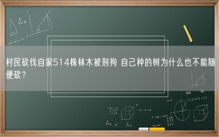 村民砍伐自家514株林木被刑拘 自己种的树为什么也不能随便砍？