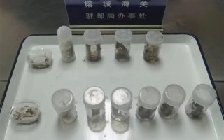 福州海关截获30只成虫：含4只亚洲最大的蜈蚣！