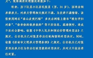 多次在网上散布不实消息混淆视听 男子炫耀市中心养烈性犬被行拘 !