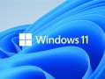 Win11 24H2离谱Bug致蓝屏死机！微软紧急暂停向西数SSD用户推送！