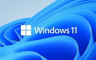 Win11 24H2离谱Bug致蓝屏死机！微软紧急暂停向西数SSD用户推送！