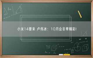 小米14要来 卢伟冰：10月会非常精彩!