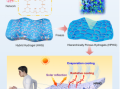 中科院发明可穿戴水凝胶：最薄仅2毫米 降温近30度！