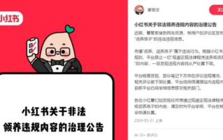 小红书回应平台可领养孩子:已清理 已将举报信息移交相关部门！