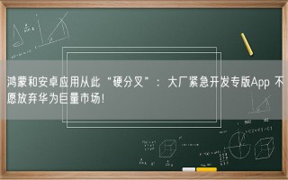 鸿蒙和安卓应用从此“硬分叉”：大厂紧急开发专版App 不愿放弃华为巨量市场！