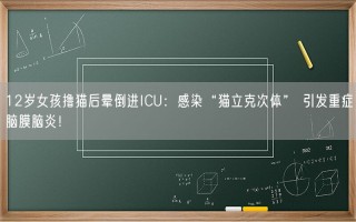 12岁女孩撸猫后晕倒进ICU：感染“猫立克次体” 引发重症脑膜脑炎！