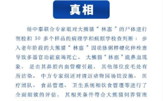 旅泰大熊猫林惠被打死系谣言 熊猫中心此前已将情况进行过公开说明！