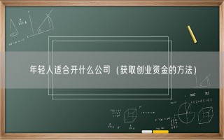 年轻人适合开什么公司（获取创业资金的方法）