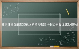 董明珠提议最高30亿回购格力电器 今日公司股价涨2.49%！