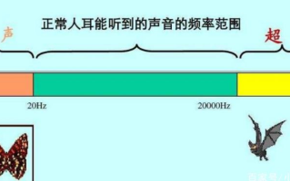 初中物理超声波和次声波的应用有哪些例子