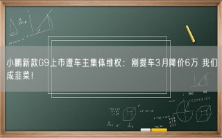 小鹏新款G9上市遭车主集体维权：刚提车3月降价6万 我们成韭菜！