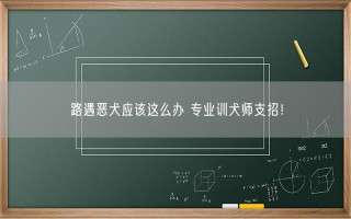 路遇恶犬应该这么办 专业训犬师支招！