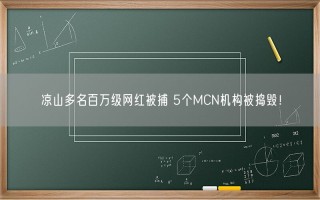 凉山多名百万级网红被捕 5个MCN机构被捣毁！