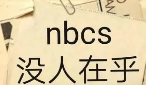 nbcs是什么意思 nbcs网络缩写-第1张图片