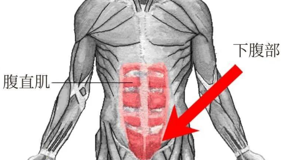 下腹肌怎么练效果好呢（三个简单锻炼下腹部的体式）-第1张图片