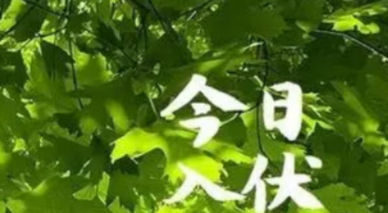 入伏吃面条还是饺子（一年之中为什么只有三伏天最热）-第1张图片