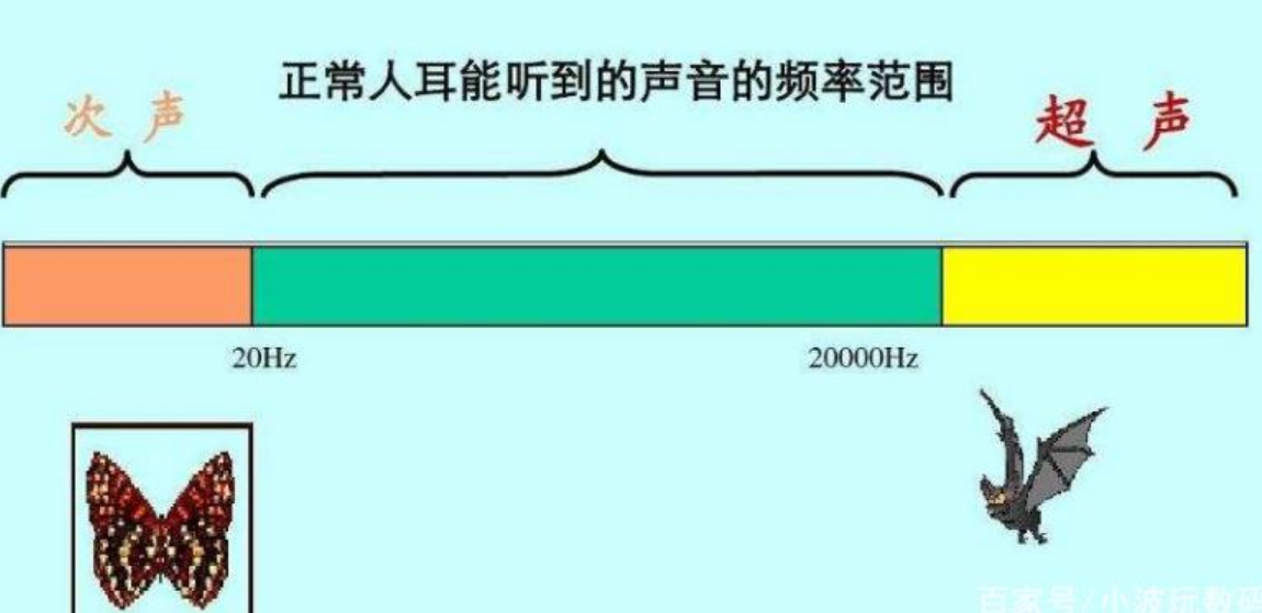 初中物理超声波和次声波的应用有哪些例子-第1张图片