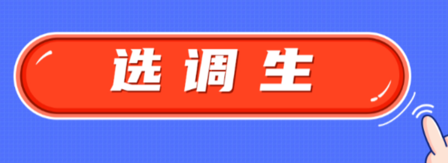 选调生报名成功后弃考后果如何 选调面试缺考有影响吗-第1张图片