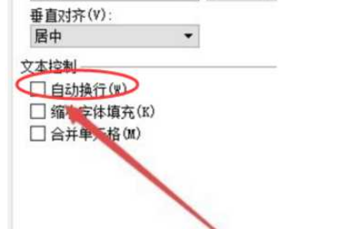 word自动换行怎么取消-第3张图片