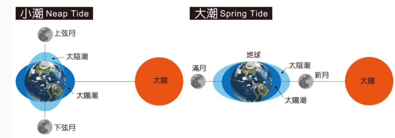 潮汐表中的大潮和小潮什么意思-第1张图片