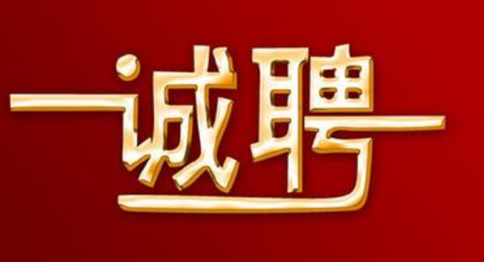 内部招聘和外部招聘的优缺点比较举例说明-第2张图片