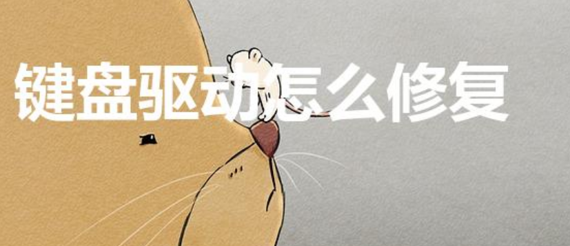 键盘驱动怎么修复（台式机键盘驱动）-第1张图片