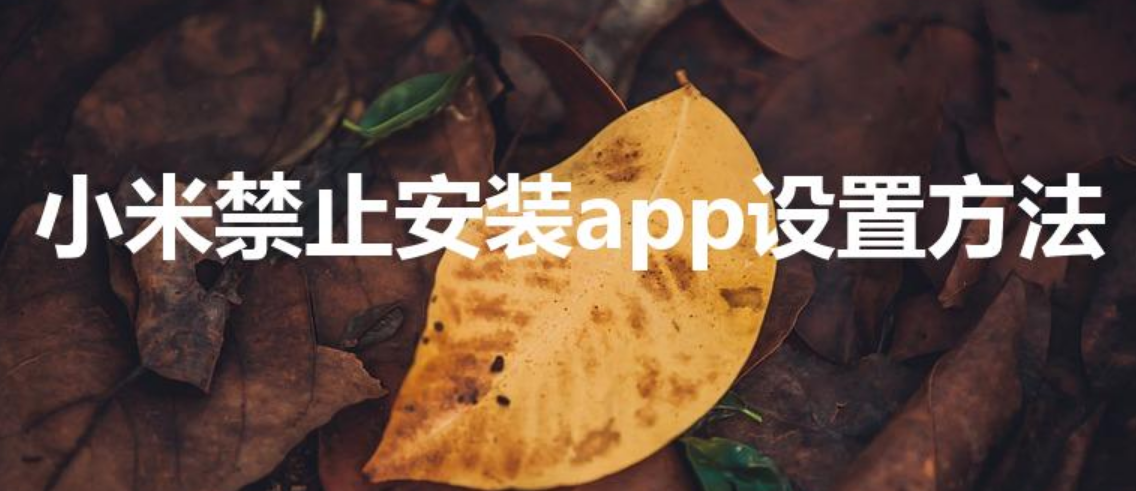 小米禁止安装app设置方法（小米手机禁止安装app方法）-第1张图片